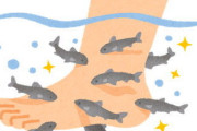 取ってきたメダカが卵食べるので別の水槽に移した。孵化したので小さいメダカをもとの水槽に戻したら。。。