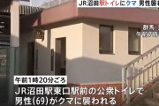 群馬・JR沼田駅前の公衆トイレにクマ！ 69歳男性が襲われ軽傷