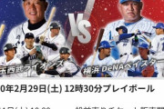 【朗報】さがーずにプロ野球オープン戦のお仕事