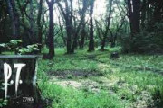 P.T.とか言うホラーゲームに革命を起こした作品