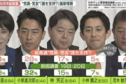 【自民党総裁選】ステマ炎上の小泉進次郎、支持率急落ｗｗｗｗｗ