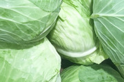 【速報】キャベツ、なんと５２円！！！！　　　　（ベトナム産）