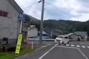 【動画】おいどこ行くん！軽自動車が綺麗に田んぼにダイブしてしまう瞬間。