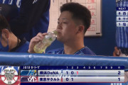 牧秀悟  118試合 打率.290 HR21 打点65 出塁率.332 OPS.846　※残り19試合