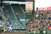 阪神　甲子園のスタンドでファンが密集状態　１万８０００人→５０００人の影響か