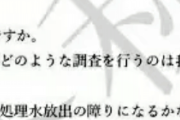 韓国の左派扇動YouTuber「日本はIAEAに100万ユーロの献金をして操っていた、これがその証拠文書だ！」……いや、雑すぎるだろ、その文書……