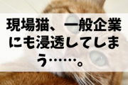 【朗報】現場猫さん、一般企業でも活躍してしまう！