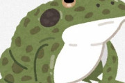 ウシガエル?「美味しいです、タンパク質豊富です、その辺にいます」←こいつを食わない情弱