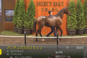 【セレクトセール2023】アンチュラスの2022（父エピファネイア）2億超え
