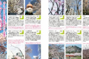 ニンドリ、雑誌にゲームメーカーの桜の写真を載せてしまう…