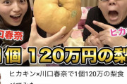 【画像】ヒカキン「家に有名女優呼んで120万円の梨食べてみたww(高級時計チラ見せ」
