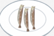 「ししゃも」とかいう受刑者しか食ってない魚ｗｗｗｗｗｗｗｗｗｗｗｗｗｗｗ