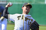 阪神西純矢にブレーク予感　対外試合の開幕投手浮上