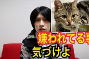 【悲報】猫ユーチューバー、ちょりチャンネル活動中止