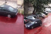 アルゼンチンで血のように真っ赤に染まった路上　調その正体がやべえ！　気持ち悪くて吐く人まで