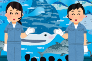 水族館の飼育員だけど質問ある？