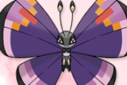 【ポケモン】ビビヨンとかいうネタじゃ済まないレベルでバタフリーの上位互換なヤツｗｗｗｗｗｗｗｗｗｗｗｗｗｗｗｗｗｗｗｗ