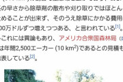 【画像あり】日本生まれのクズがアメリカで大迷惑かけてるんやが・・・　ネトウヨどーすんのこれ？どう責任取るの？ん？