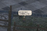 【FF14】6.xで調整予定の引っ越しシステムはどうなるのか。「即引っ越し制限」や「アカ単位で見て土地を初めて買う人が最優先」という予想も