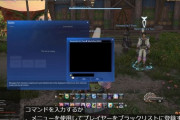 【FF14】目の前のキャラをBLに入れると姿が即消える！7.0にて強化された「ブラックリスト機能」がこちら！