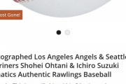 約24万円で大谷とイチローのサインボールが買えるらしい