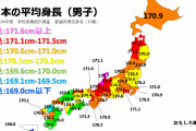 【画像】日本人男性の平均身長、どんどん下がってる模様ｗｗｗｗｗｗｗｗｗｗｗｗｗｗｗ