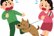 【四国犬12人噛みつき】Xで「犬は悪くない」「殺処分しないで」の声…「まずは子供を心配するべき」