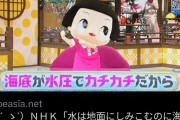 【悲報】Twitter民、NHKが憎すぎて遂にチコちゃんにも発狂ｗｗｗｗｗｗｗ