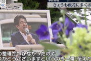 あれからずっと雨だ。いつも人を気遣った安倍氏らしく出棺時だけ雨が止んだ。昨日が初七日。しかし未だ多くの人が気持ちの整理をしきれずにいる。