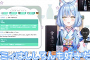 Vtuber 【雪花ラミィ】ラミィに合うマイクラの建設グループってどこだと思う？ラミィはどのホロメンも好いてるから選ぶの難しそう