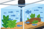 アクア民さん「最近アクアリウム熱が下がってきてしまった」 → その理由がこちら