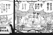 【ワンピ―ス】 悪魔の実ってたまにぶっ壊れがあるよなｗｗｗｗｗｗｗｗｗｗｗｗｗ