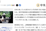 【悲報】中国に上野のパンダ返還決定、国内のパンダ0頭に