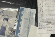 【悲報】フジロックが来場者に送付した抗原検査キット、精度に問題ありとされている中国製だった