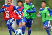 JFA、小学生年代の選手登録料を無料に！少年団に所属する約70%の選手がJFA選手登録を行っておらず