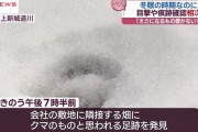 【秋田】年明けもクマ目撃情報相次ぐ！情報マップシステム「クマダス」によれば今年になって４２件の情報が寄せられる