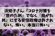 【悲報】浜矩子さん「コロナ対策を『世のため』でなく『我がため』にする安倍政権は許されない。怖い、本当に怖い」ワイ氏「はえ〜（興味なし）」