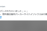 【悲報】ひなこのーと作者、またシャドウバン→イーロンに許しを請うイラストを投稿ｗｗｗｗ