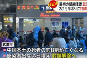 【悲報】中国本土の死者の約8割が亡くなる