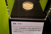 【画像】毒展さん、『猛毒』を展示してしまう…