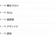 【悲報】日本さん、チーズ牛丼に対する差別がガチで深刻化してしまう……