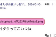 【悲報】アイドルオタク、盗撮され5ちゃんに晒される被害に→書き込んだオタクを即日開示請求するｗｗｗｗ