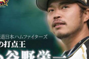 【2014年】日ハムFA小谷野栄一、三塁弱点の西武入り有力