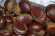 【画像】今年の栗仕事