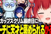 【VTuber】CRカップスクリム最終日にコーチに天才と褒められるかるび