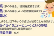 【朗報】新中国産ウイルス「ヒトメタニューモウイルス感染症」