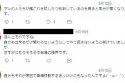 【原神】Twitterでアズレンとか原神狂ったように叩いてる人のプロフ行くと色々察するの笑う