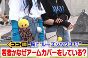 【画像】女子の間で「アームカバー」が流行！あ（察し…