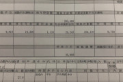 【画像】これが社畜の給与明細、日本終わってた・・・