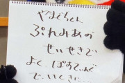 つば九郎がﾌﾞﾙｰｼﾞｪｲｽﾞ山口に辛辣「ぷれみあの せいせきで よく ぽすてぃんぐで・・・」